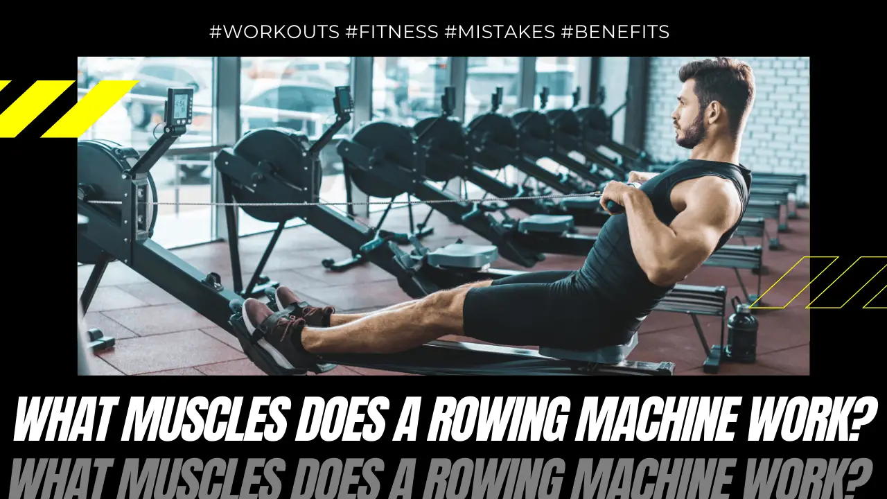 What Muscles Does a Rowing Machine Work? High Tech Fitness