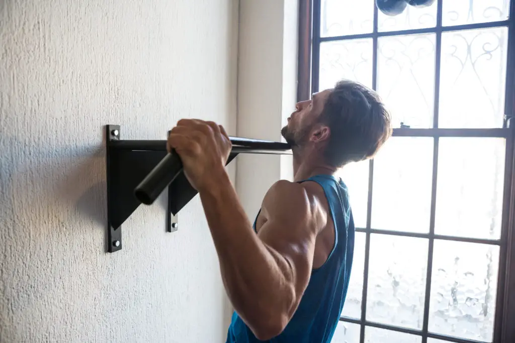 Pull Up Bar Build Muscle