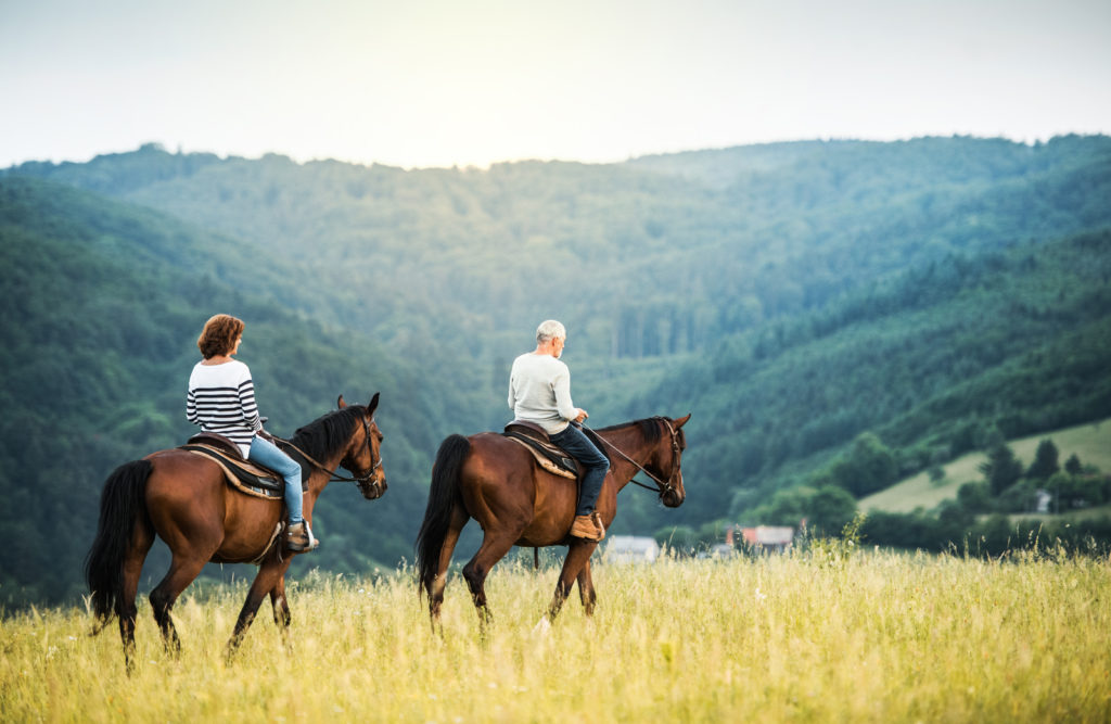Couple Riding Horses in Nature