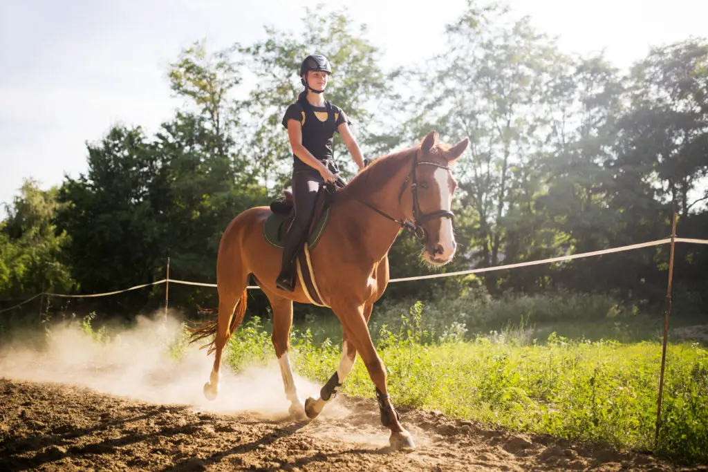 Young Woman Riding Horse