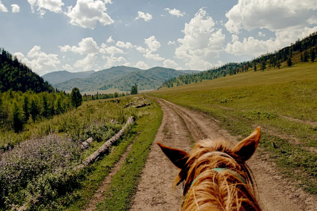 Horseback Riding Mountain Trail