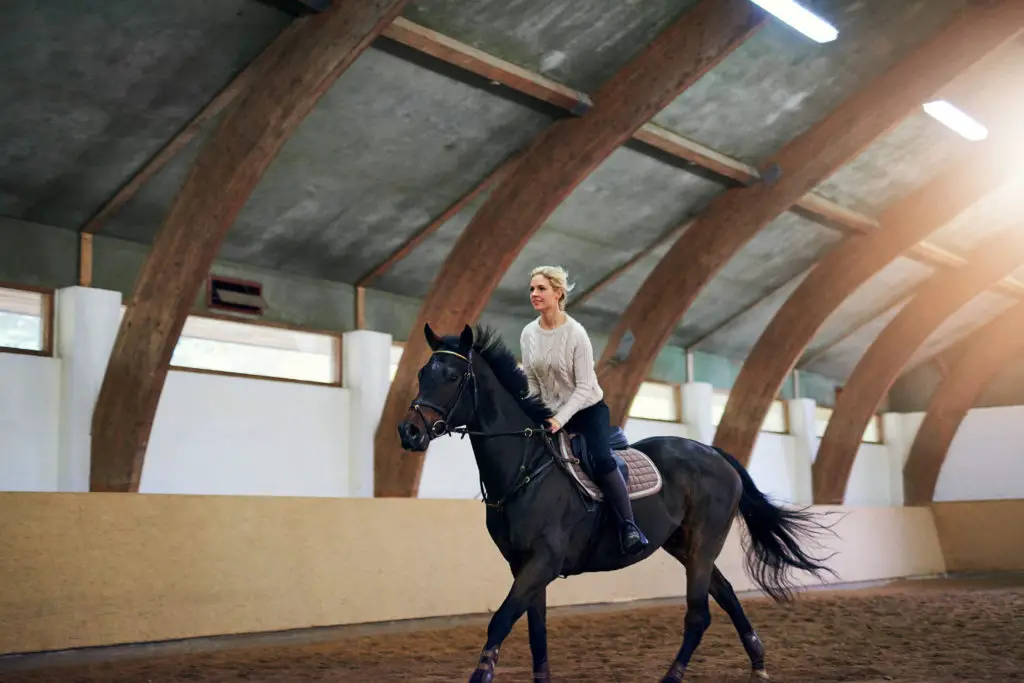 Horseback Riding Young Woman