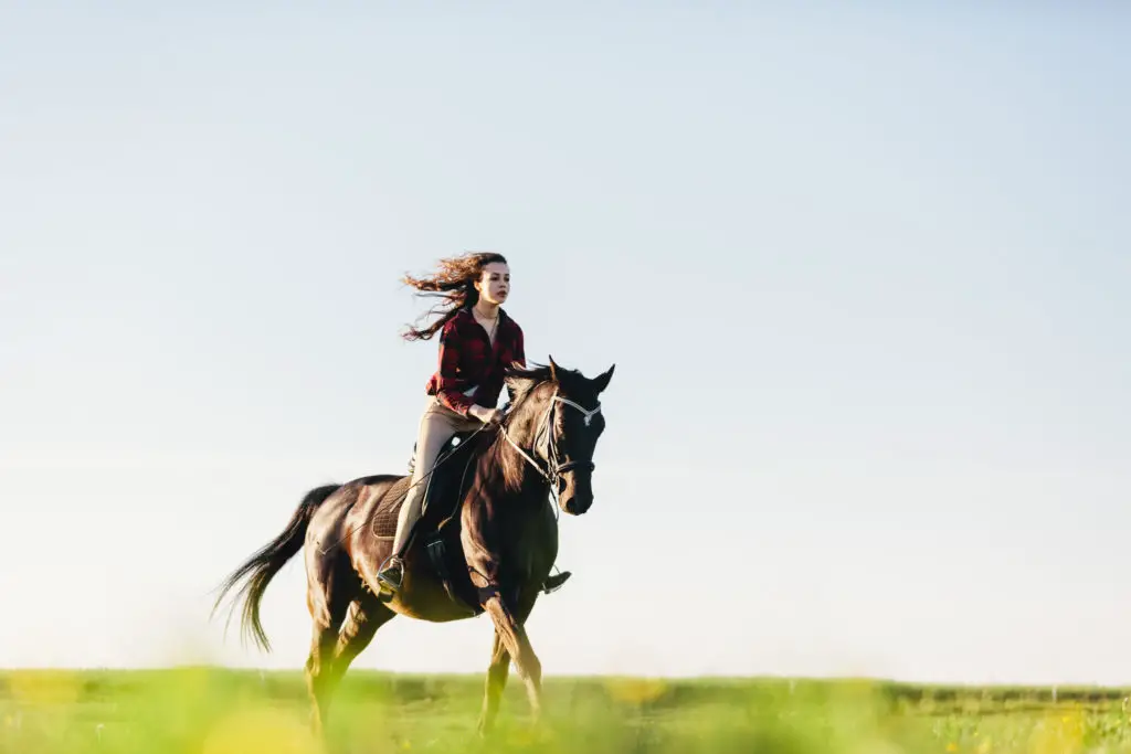 Young Equestrian