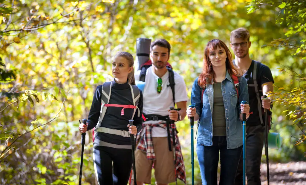 Gruppe von Wanderern, die in der Natur spazieren gehen